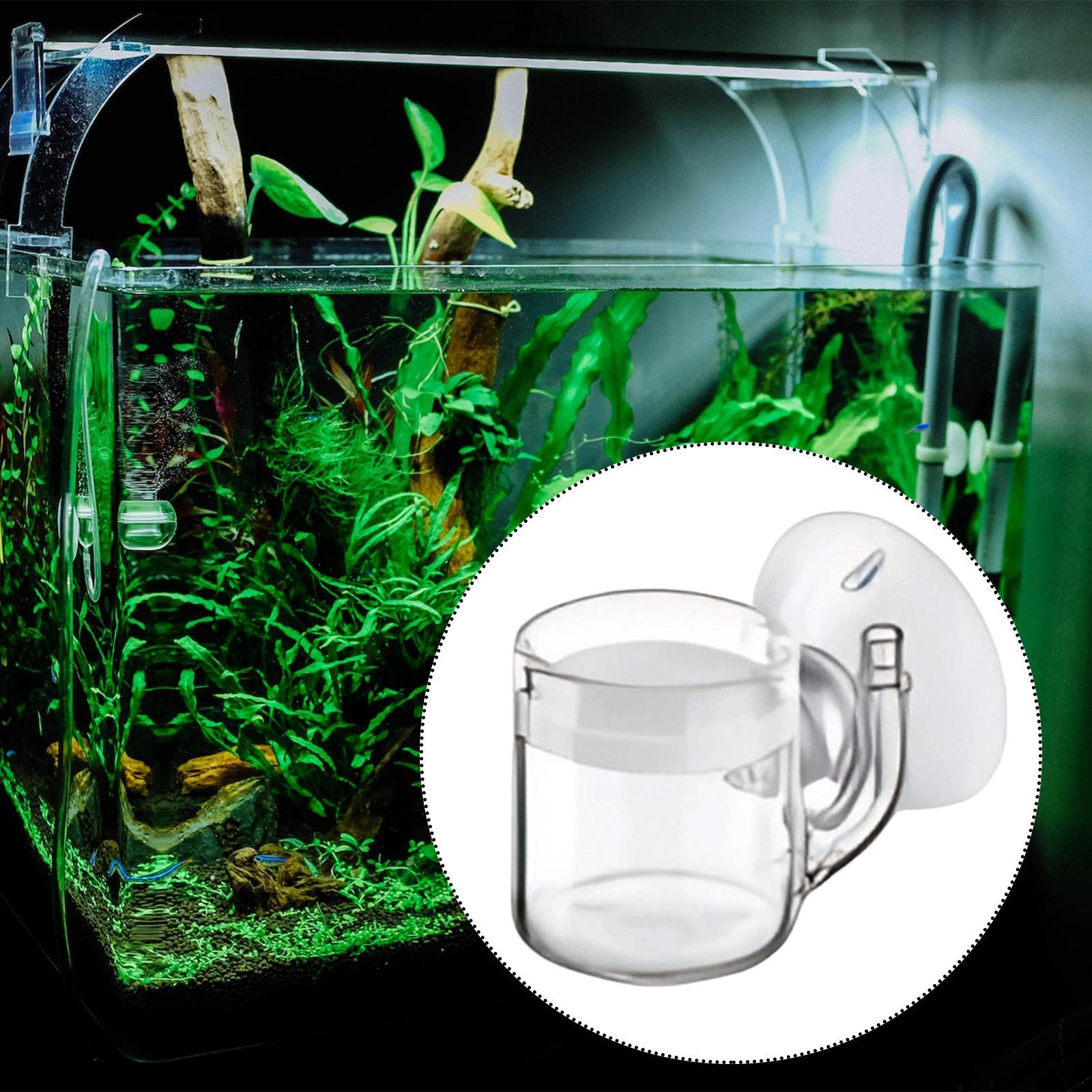 Aquarium Diffuser Glass CO2 Sy - đánh giá và giá Planted Aquarium Co2 System