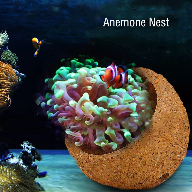 Anemone Nest Prevent Running A - đánh giá và giá Aquarium Planted Soil