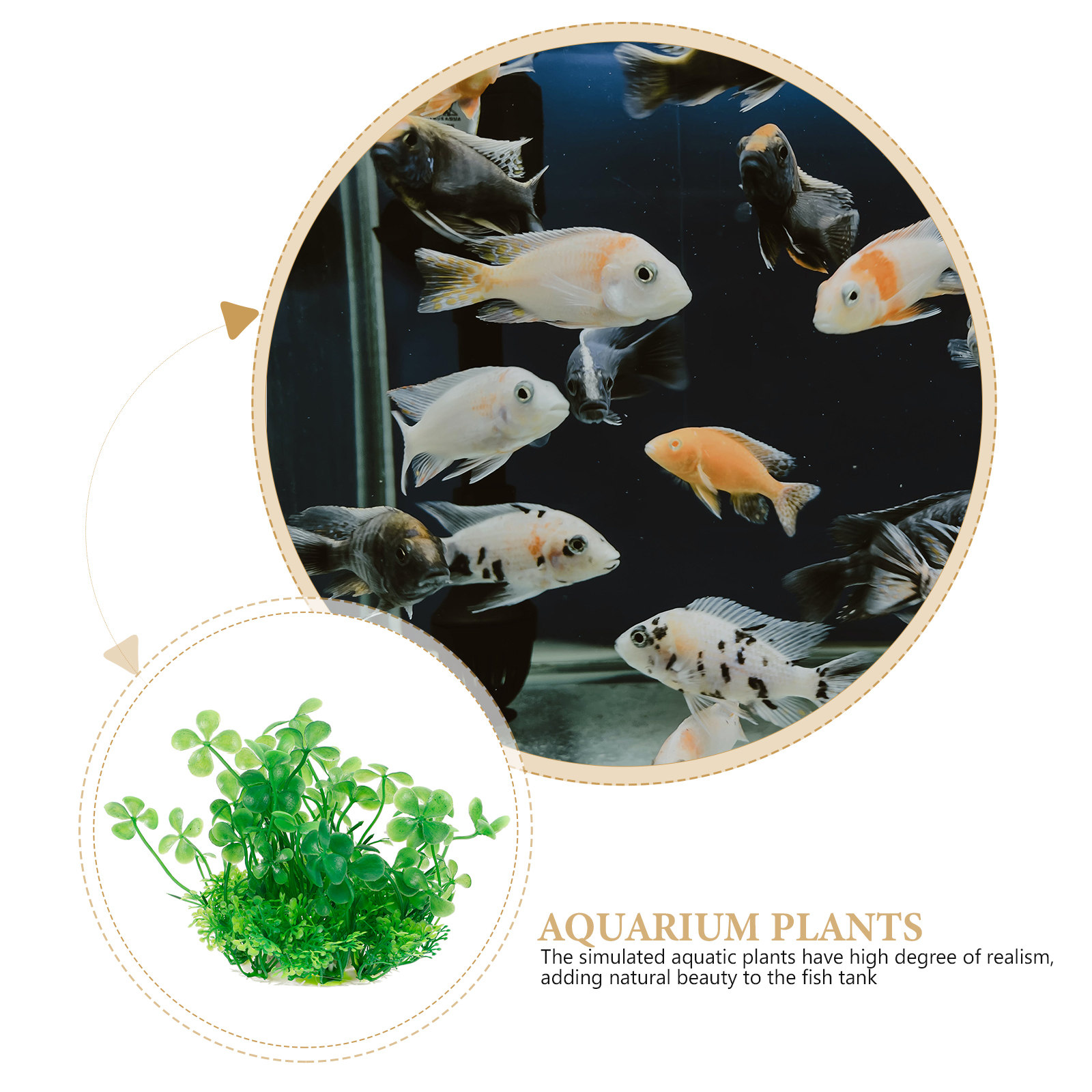 Premium Plastic Aquarium Plant - đánh giá và giá Aquarium Planted Tank Setup