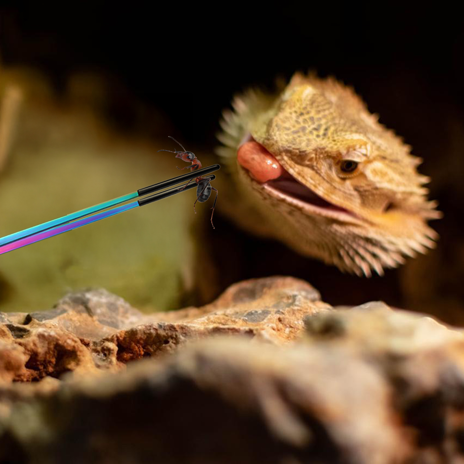 Reptile Feeding Tweezers Pet F - đánh giá và giá Planted Aquarium Tips
