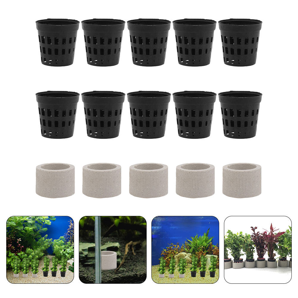1Set Aquarium Water Plant Fixi - đánh giá và giá Aquarium Planted Tank Setup