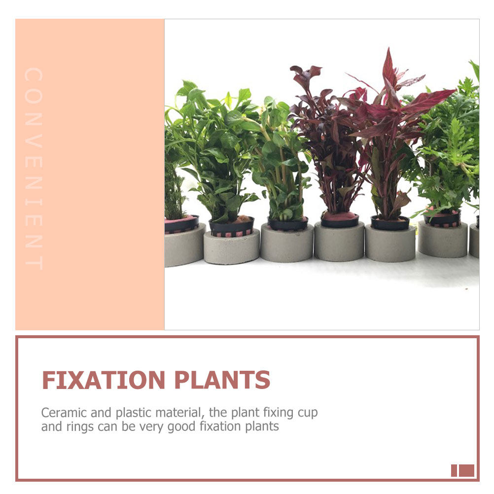 1Set Aquarium Water Plant Fixi - đánh giá và giá Aquarium Planted Tank Setup