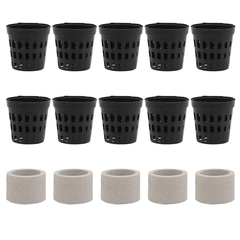 1Set Aquarium Water Plant Fixi - đánh giá và giá Aquarium Planted Tank Setup