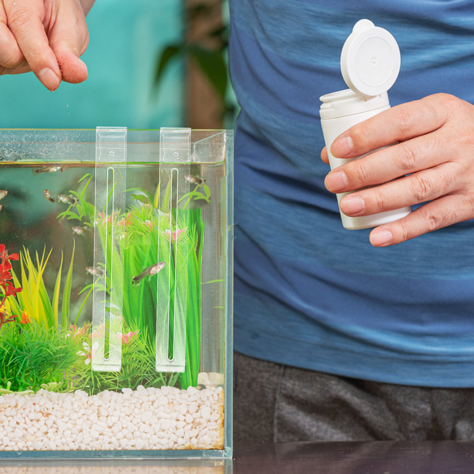 2Pcs Lightweight Sturdy Plasti - đánh giá và giá Aquarium Planted Tank Setup