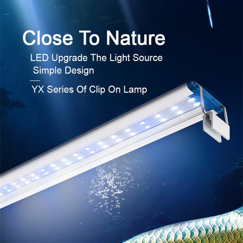 Extensible Waterproof Clip on  - đánh giá và giá Aquarium Plant Iron