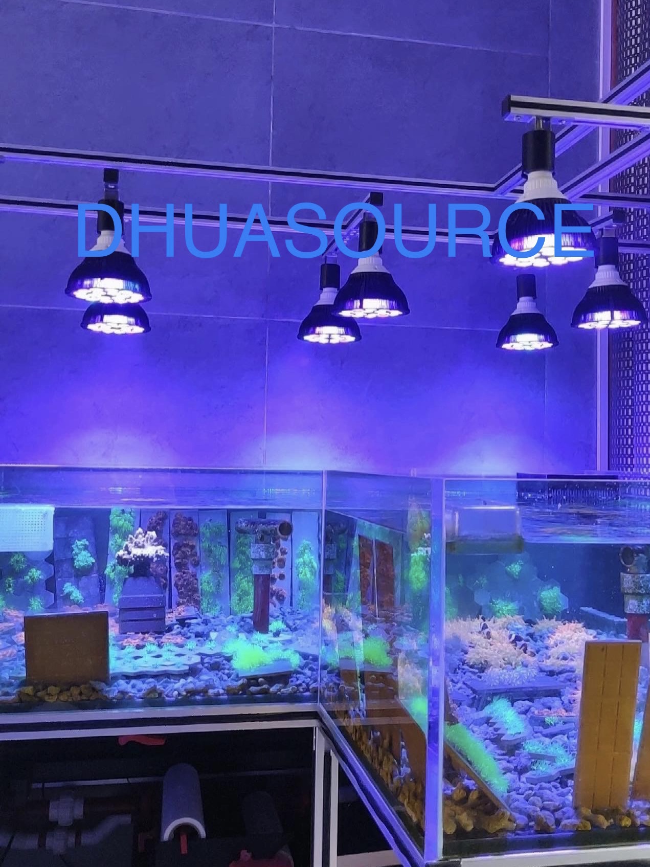 Full specturm LED Aquarium Ree - đánh giá và giá Aquarium Plant Iron