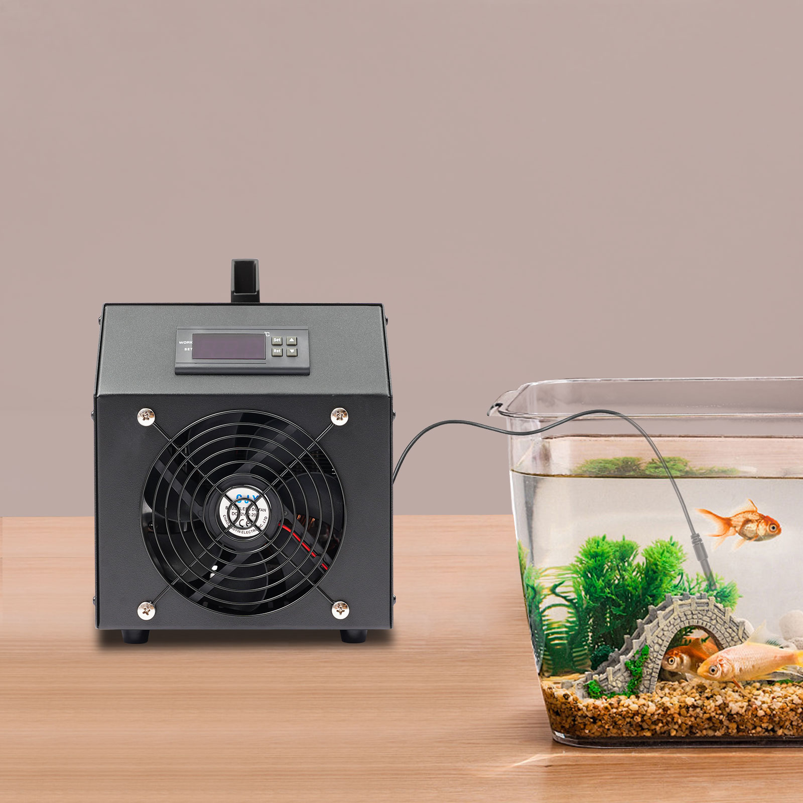 Aquarium Cooling Machine 60L A - đánh giá và giá Planted Aquarium Water Temperature