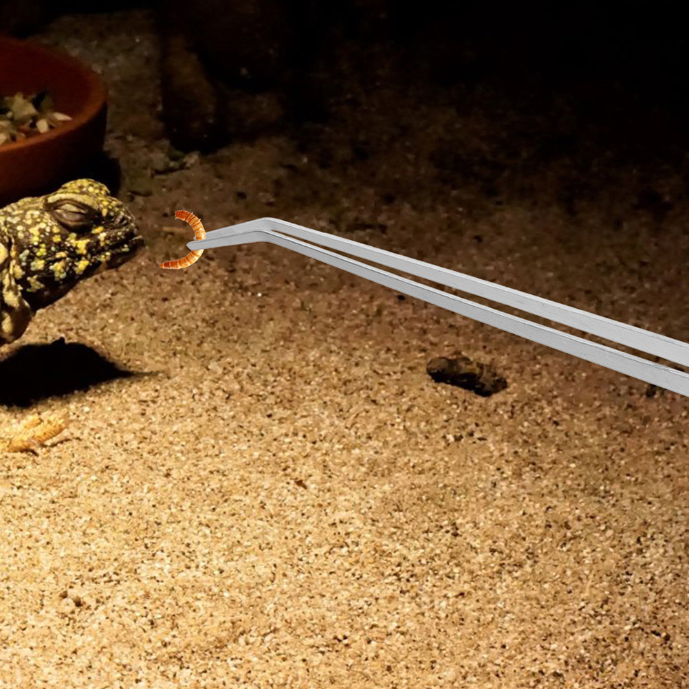 2Pcs Reptile Feeding Tweezers  - đánh giá và giá Planted Aquarium Tips