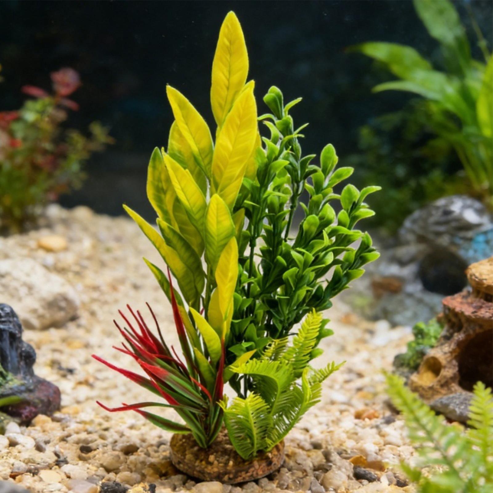 Fake Plants For Aquarium Shrim - đánh giá và giá Planted Aquarium For Beginners
