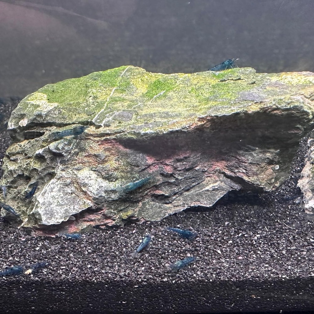 Black Aquarium Sand 2lbs, Fine - đánh giá và giá Aquarium Planted Soil