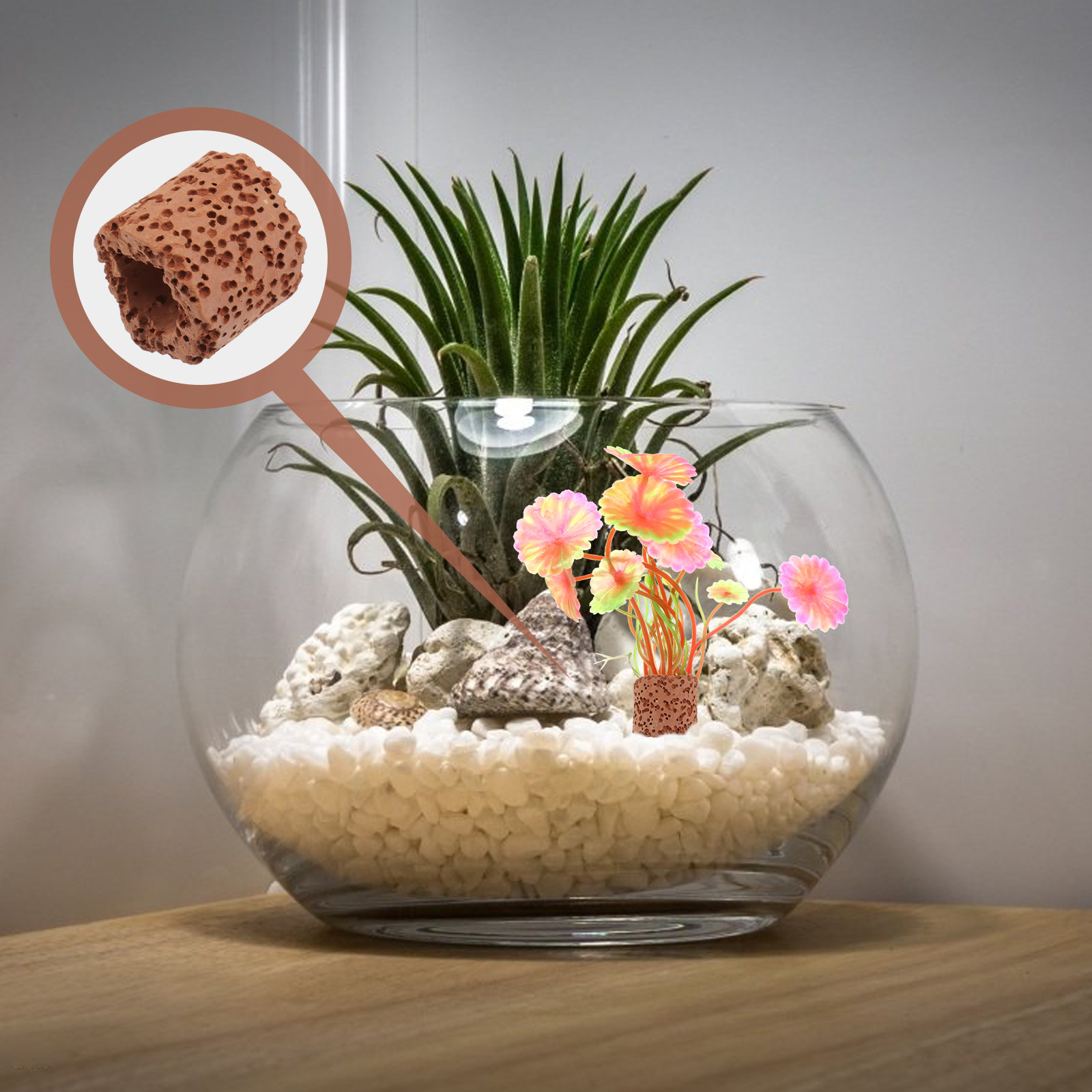 10Pcs Creative Water Plant Fix - đánh giá và giá Aquarium Planted Tank Setup