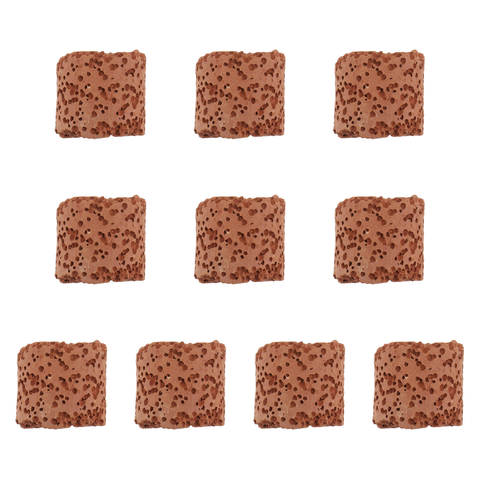 10Pcs Creative Water Plant Fix - đánh giá và giá Aquarium Planted Tank Setup