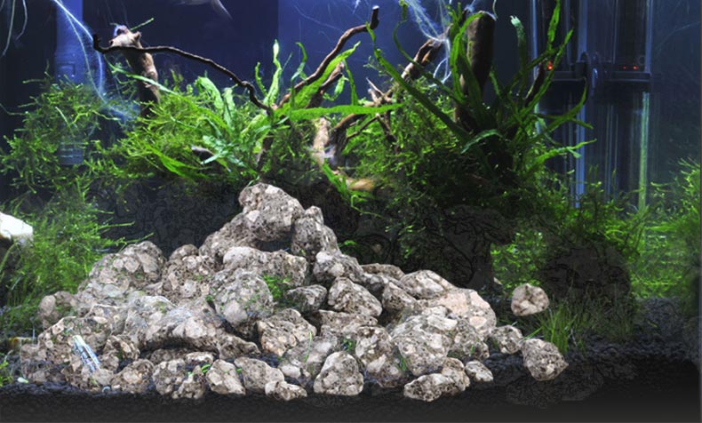 Maifan Stone Maifanite Succule - đánh giá và giá Aquarium Planted Soil