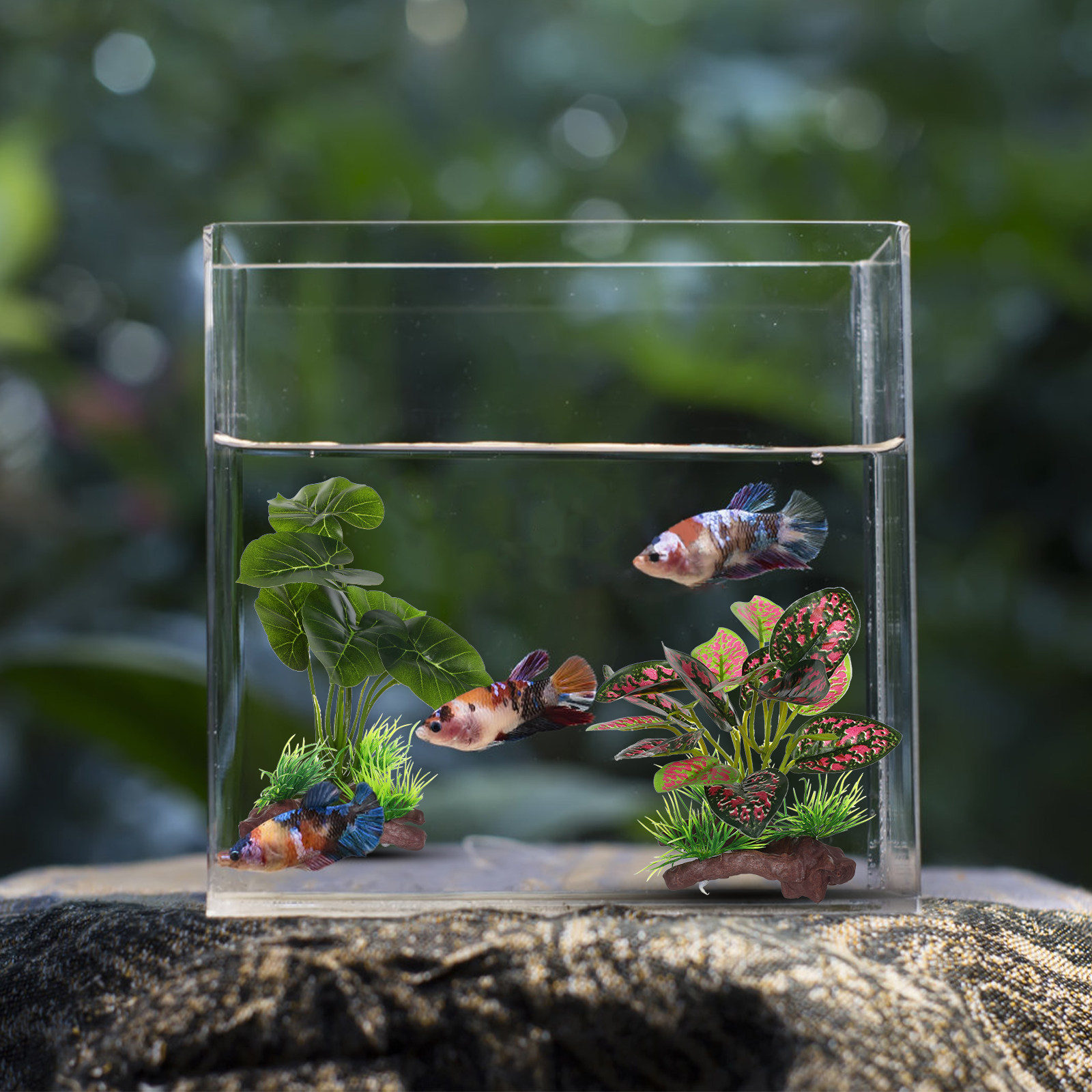 2Pcs Lifelike Artificial Aquar - đánh giá và giá Non Planted Aquarium Fish