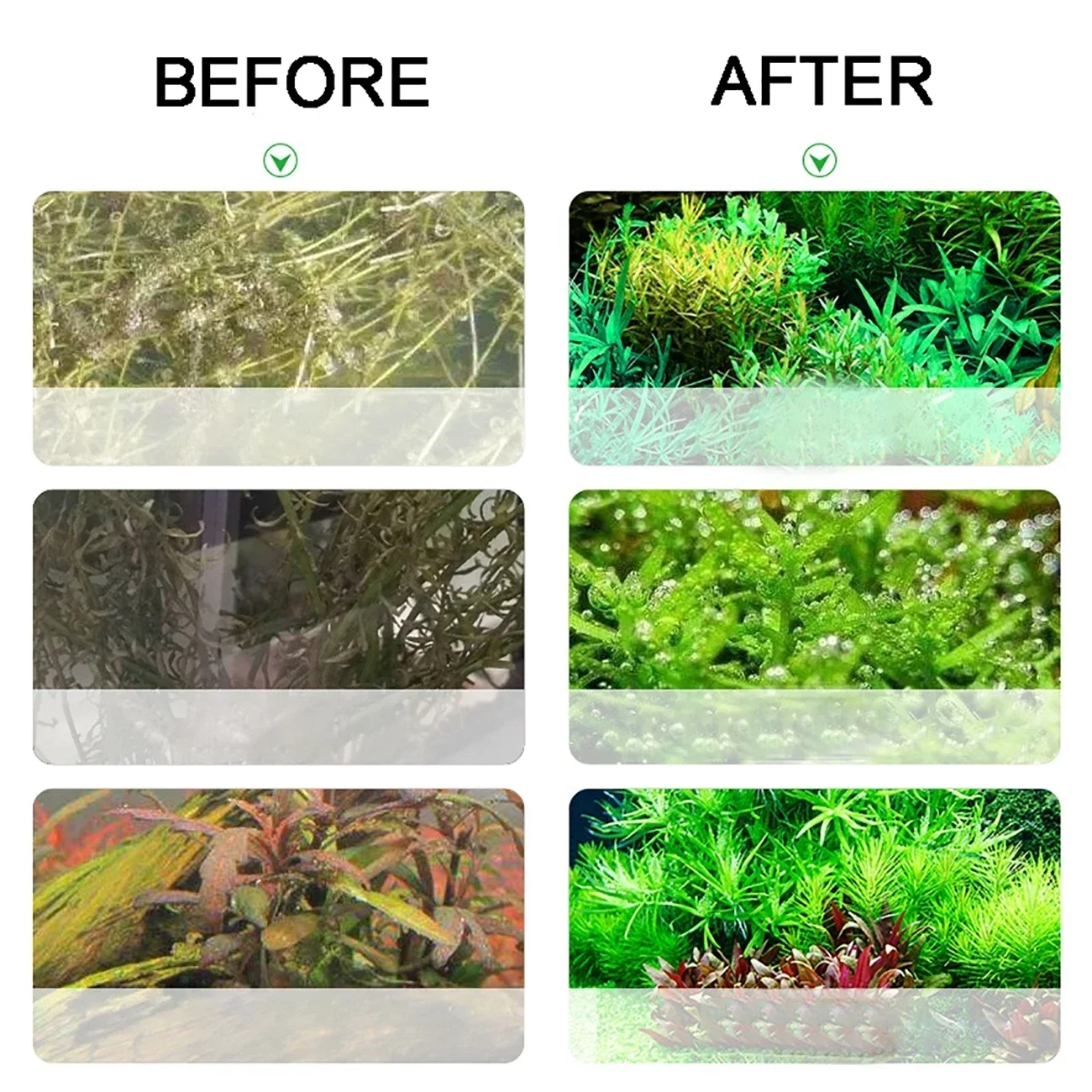 Aquarium CO2 Generator 2L DIY  - đánh giá và giá Planted Aquarium Co2 System