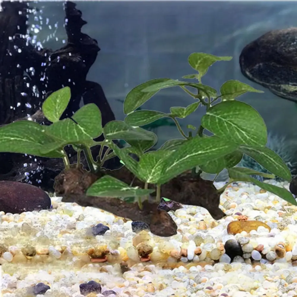 Artificial Grass Decor Realist - đánh giá và giá Planted Aquarium Carpet Plant