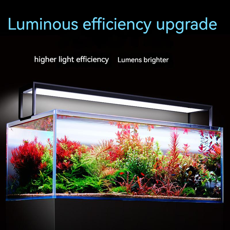 NETLEA 540S/590S Aquarium Full - đánh giá và giá Aquarium Plant Iron