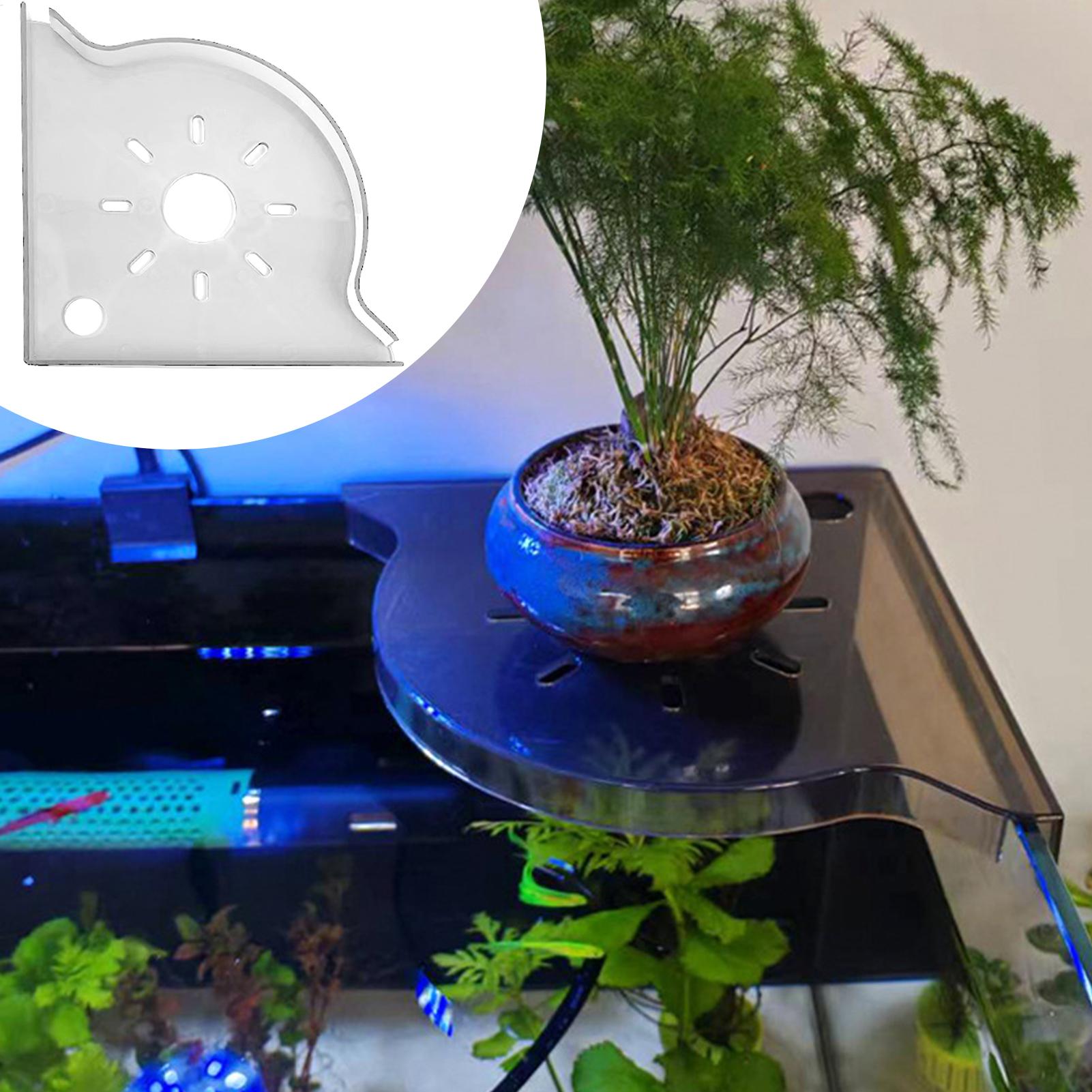 Aquarium Plant Holder Triangle - đánh giá và giá Planted Aquarium For Beginners