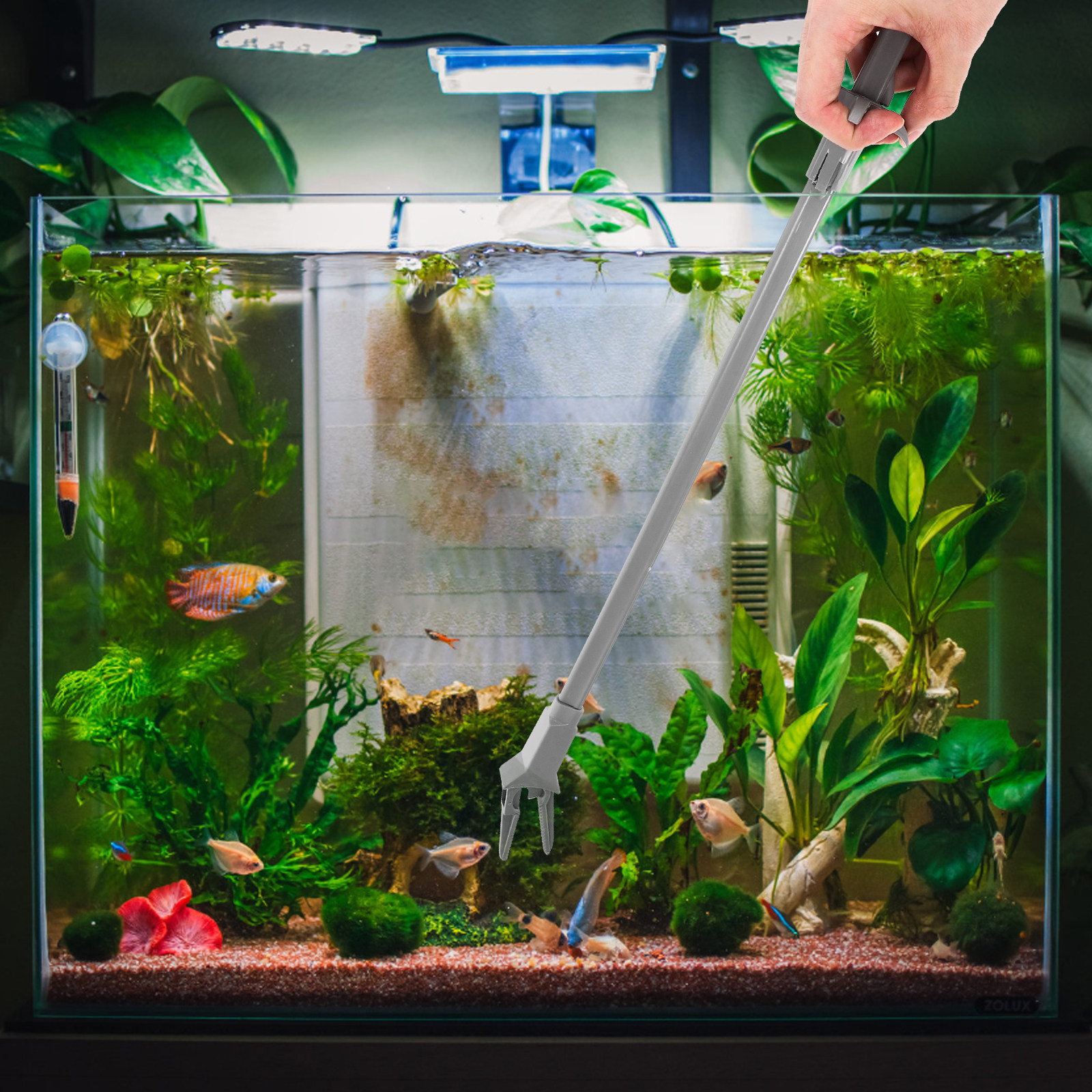 Plastic Water Plant Tweezers C - đánh giá và giá Planted Aquarium Tips