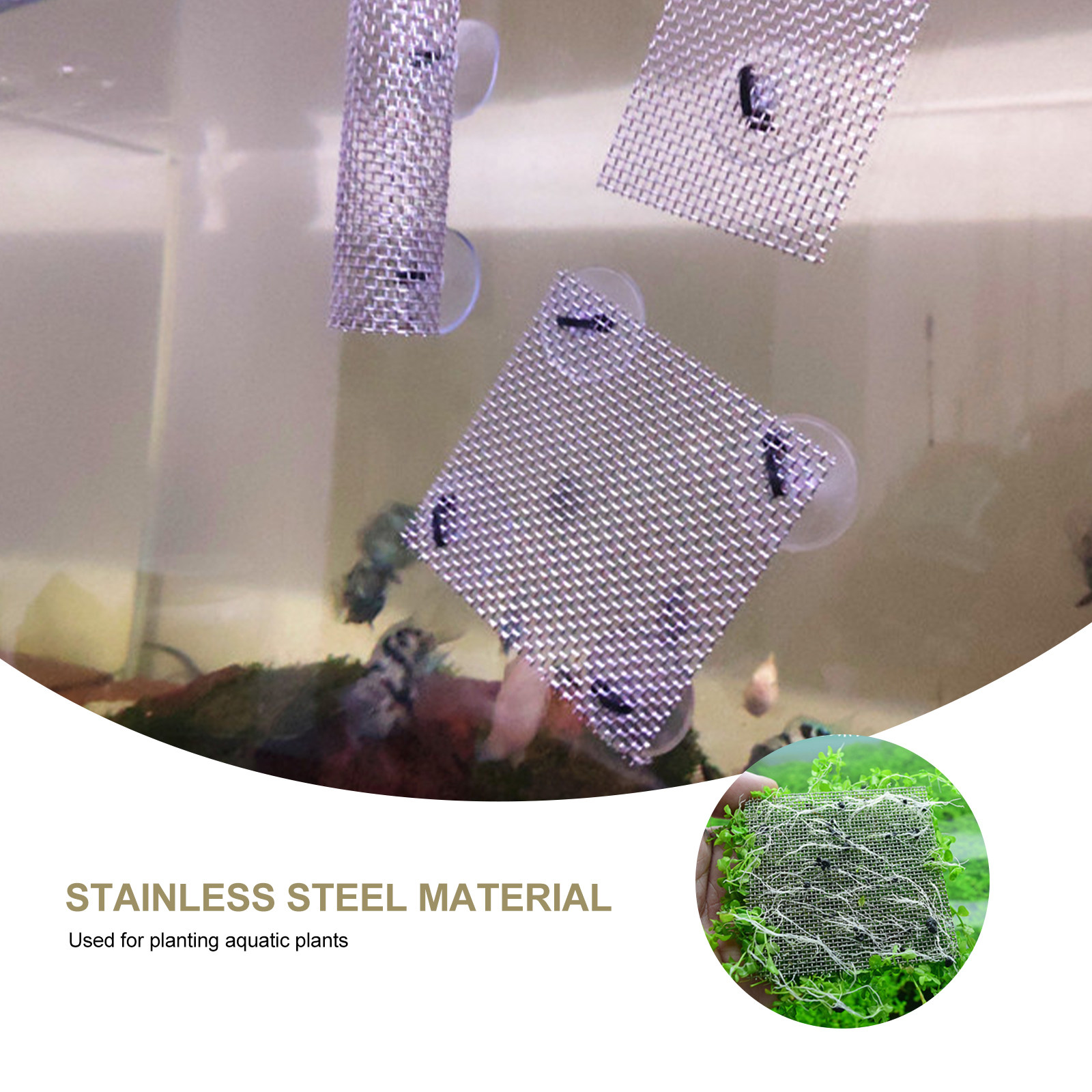 15Pcs Stainless Steel Moss Wal - đánh giá và giá Planted Aquarium Carpet Plant