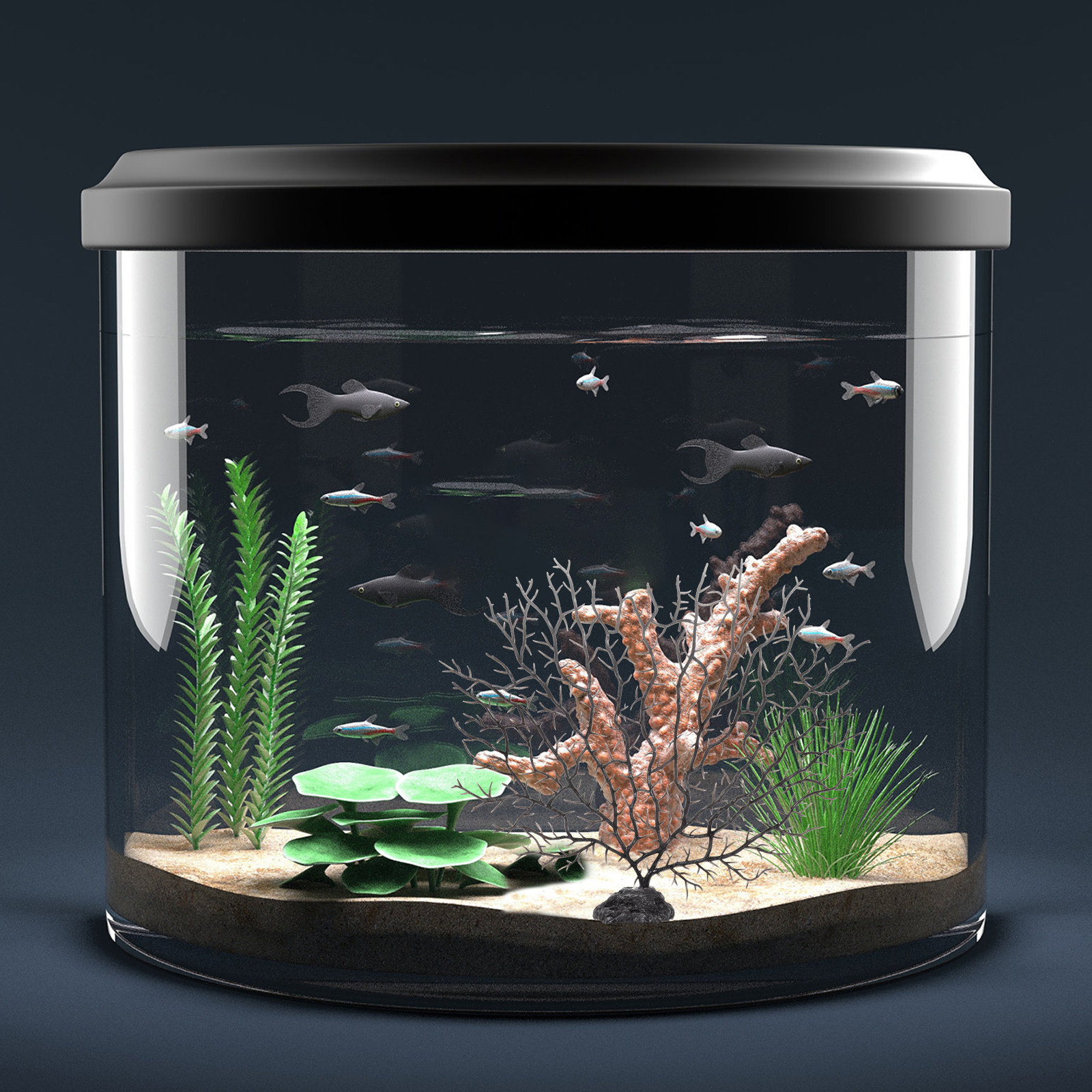 Artificial Coral Tree for Fish - đánh giá và giá Non Planted Aquarium Fish