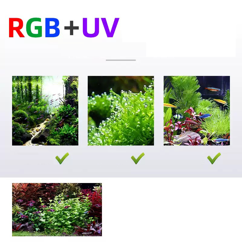 Led Lighting 60cm 80cm 90cm RG - đánh giá và giá Aquarium Plant Iron