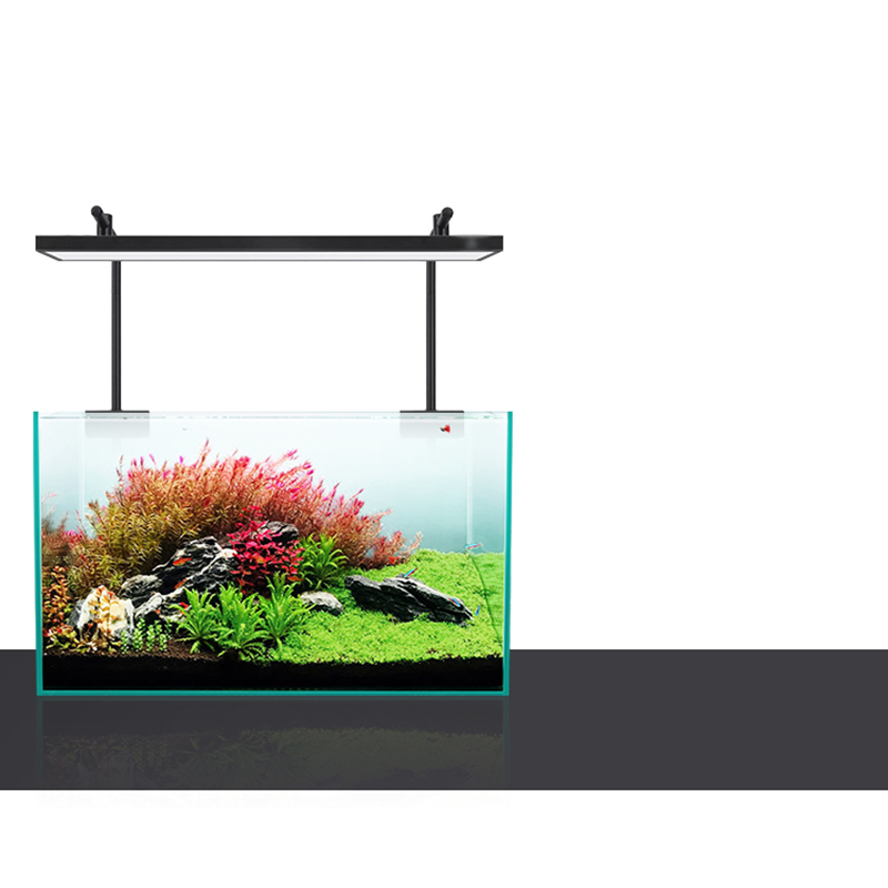 Led Lighting 60cm 80cm 90cm RG - đánh giá và giá Aquarium Plant Iron