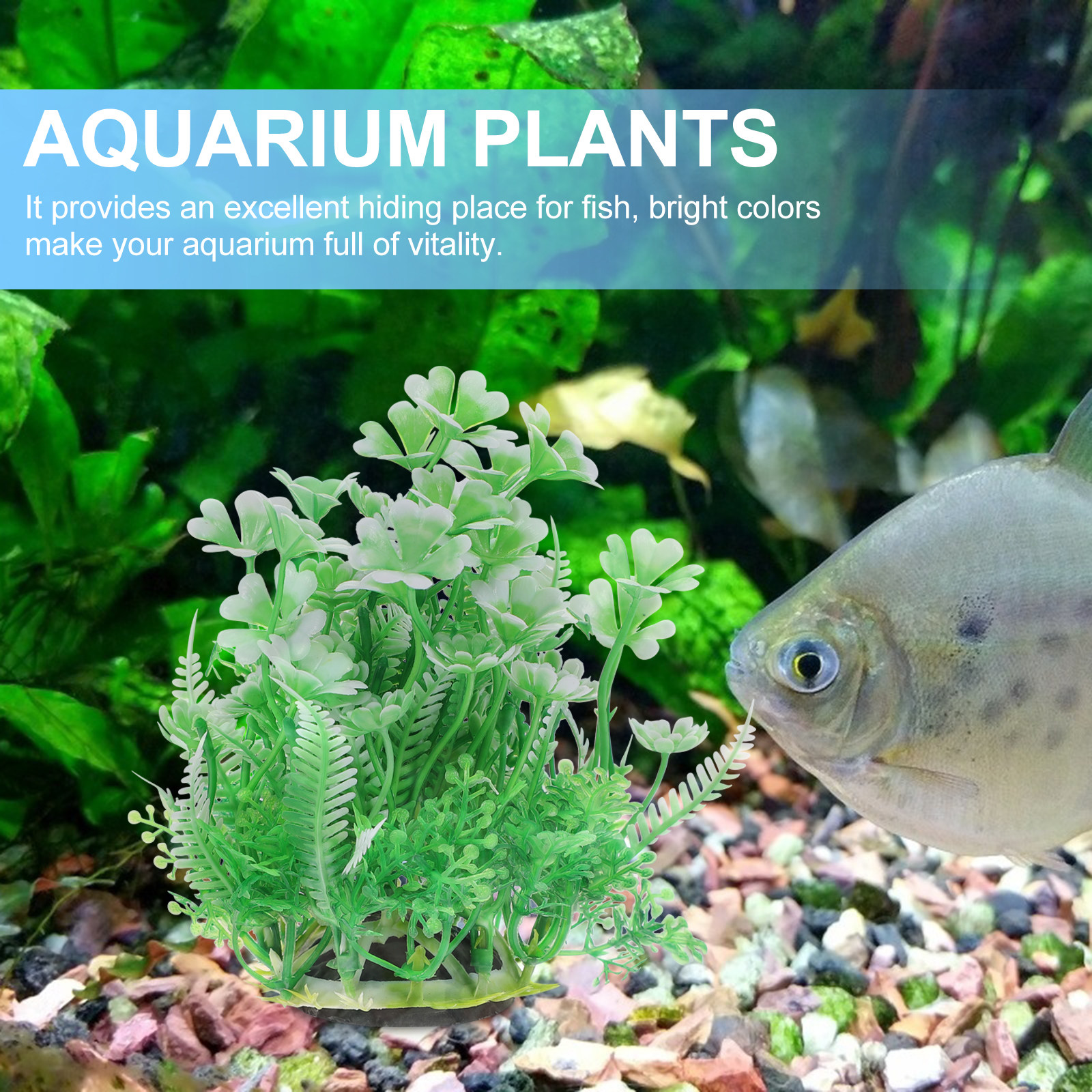 2Pcs Safe Non-Fading Plastic A - đánh giá và giá Non Planted Aquarium Fish