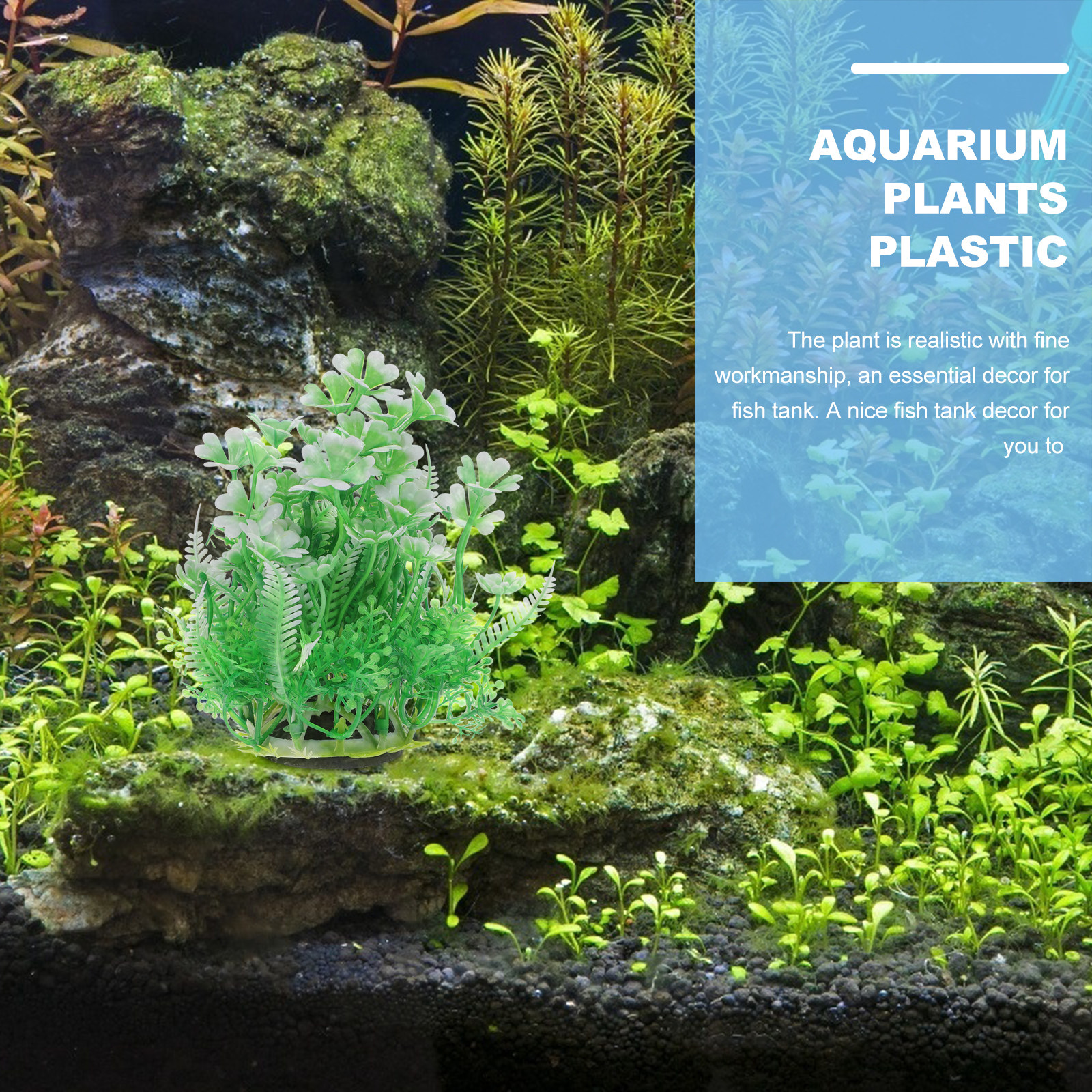 2Pcs Safe Non-Fading Plastic A - đánh giá và giá Non Planted Aquarium Fish