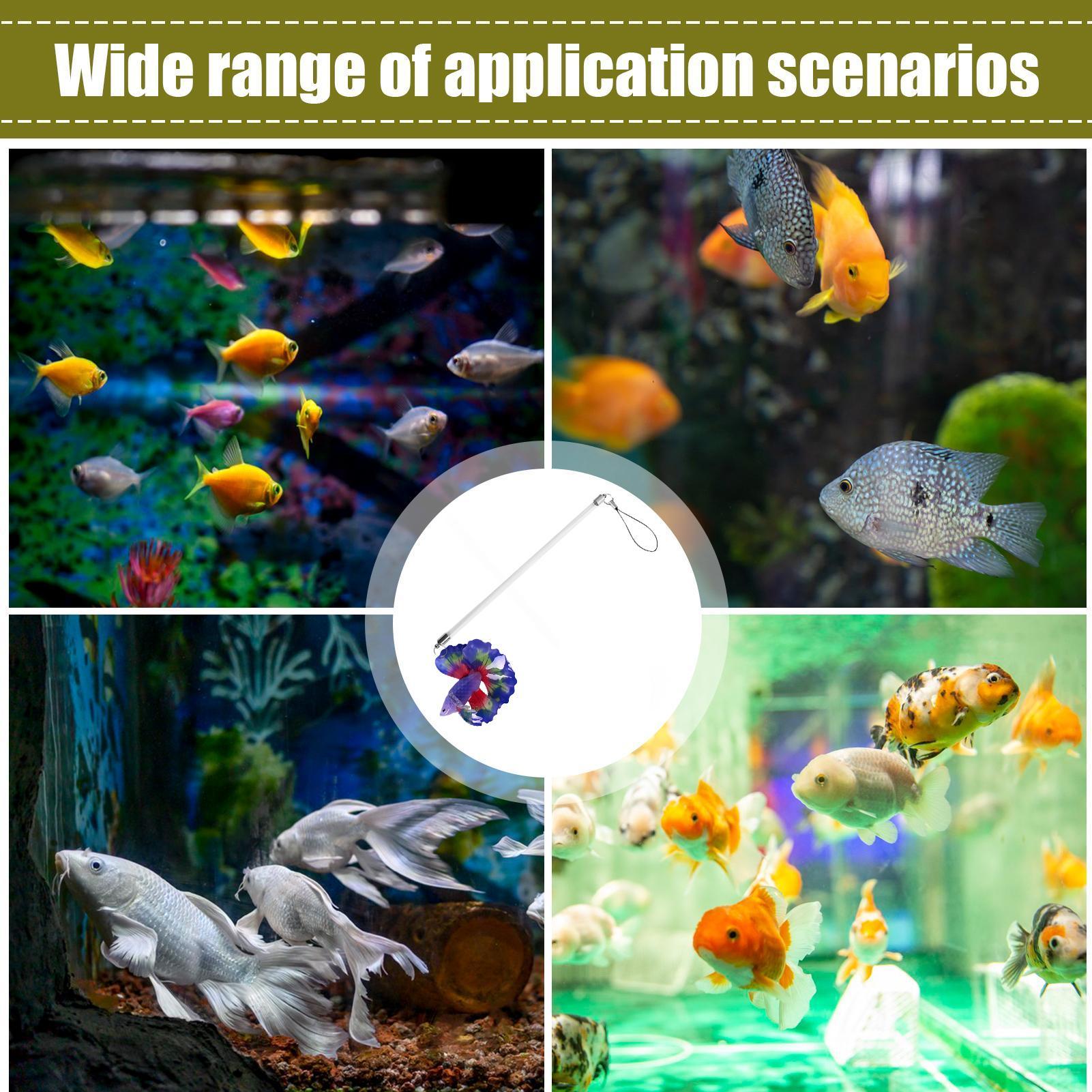Fish Training Wand For Betta I - đánh giá và giá Planted Aquarium For Beginners