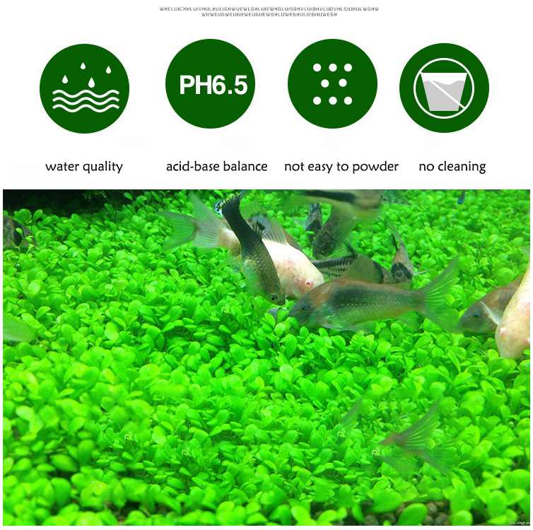 Aquarium Plant Seeds Soil Fish - đánh giá và giá Aquarium Planted Soil