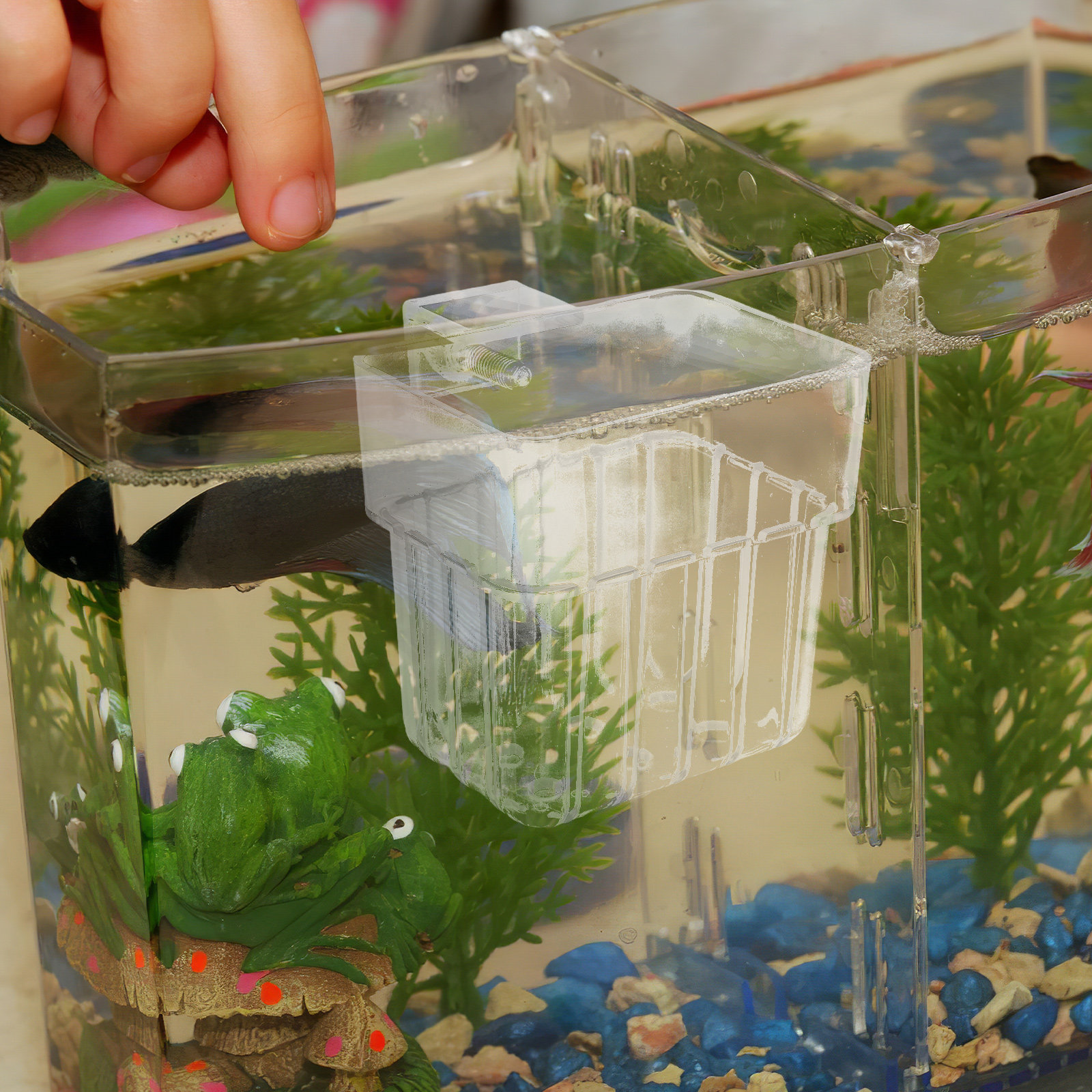 8Pcs Aquarium Planter Cups: Cl - đánh giá và giá Aquarium Planted Tank Setup