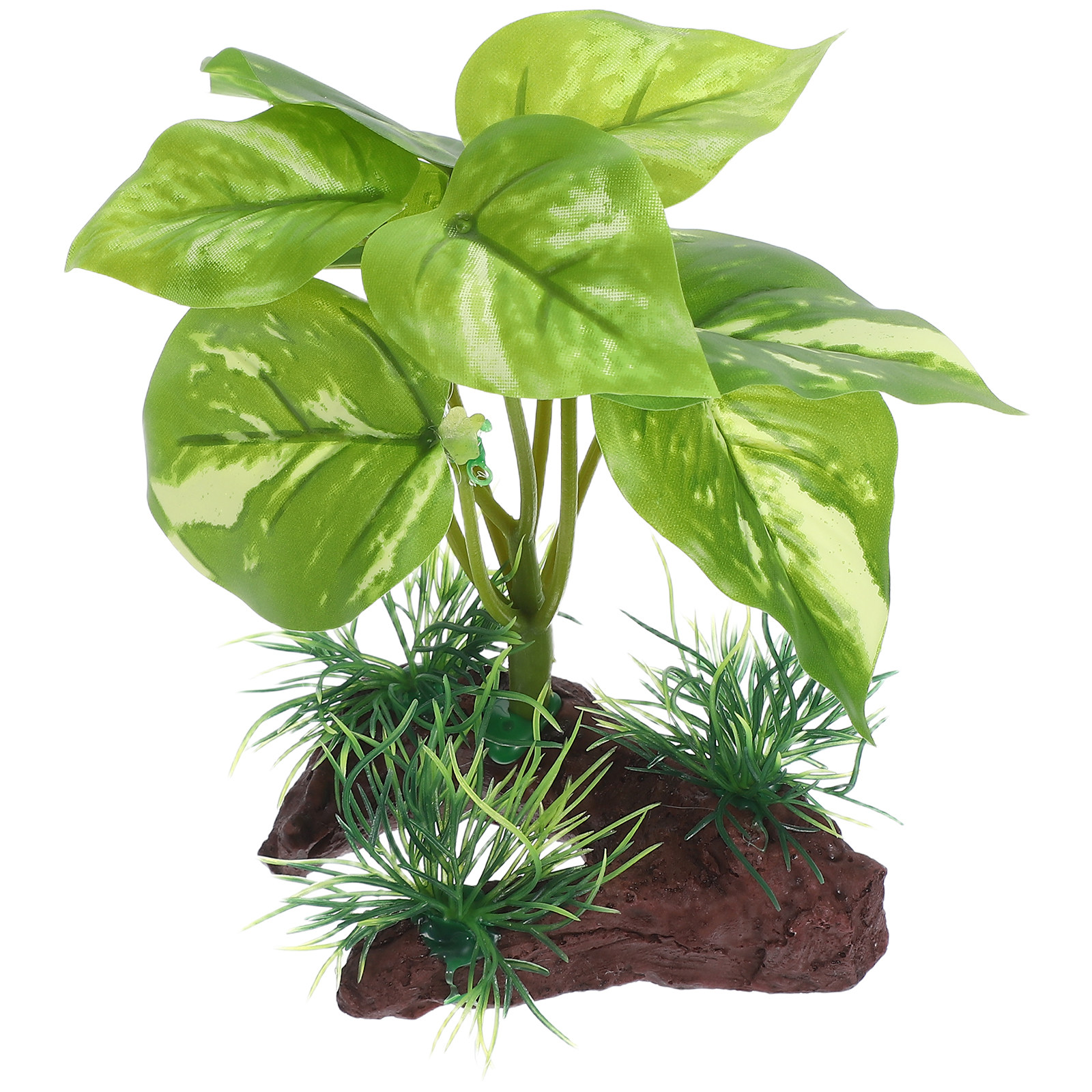 Premium Artificial Aquarium Pl - đánh giá và giá Aquarium Planted Tank Setup
