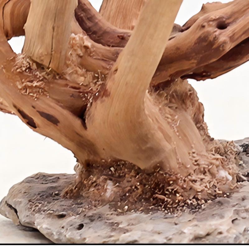 1PC Aquarium Landscaping Wood  - đánh giá và giá Aquarium Planted Soil