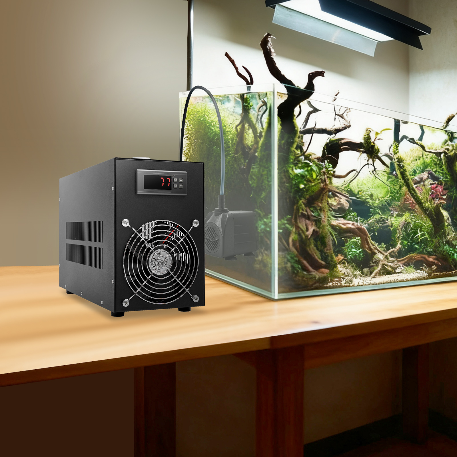 Aquarium Chiller, Aquarium Wat - đánh giá và giá Planted Aquarium Water Temperature