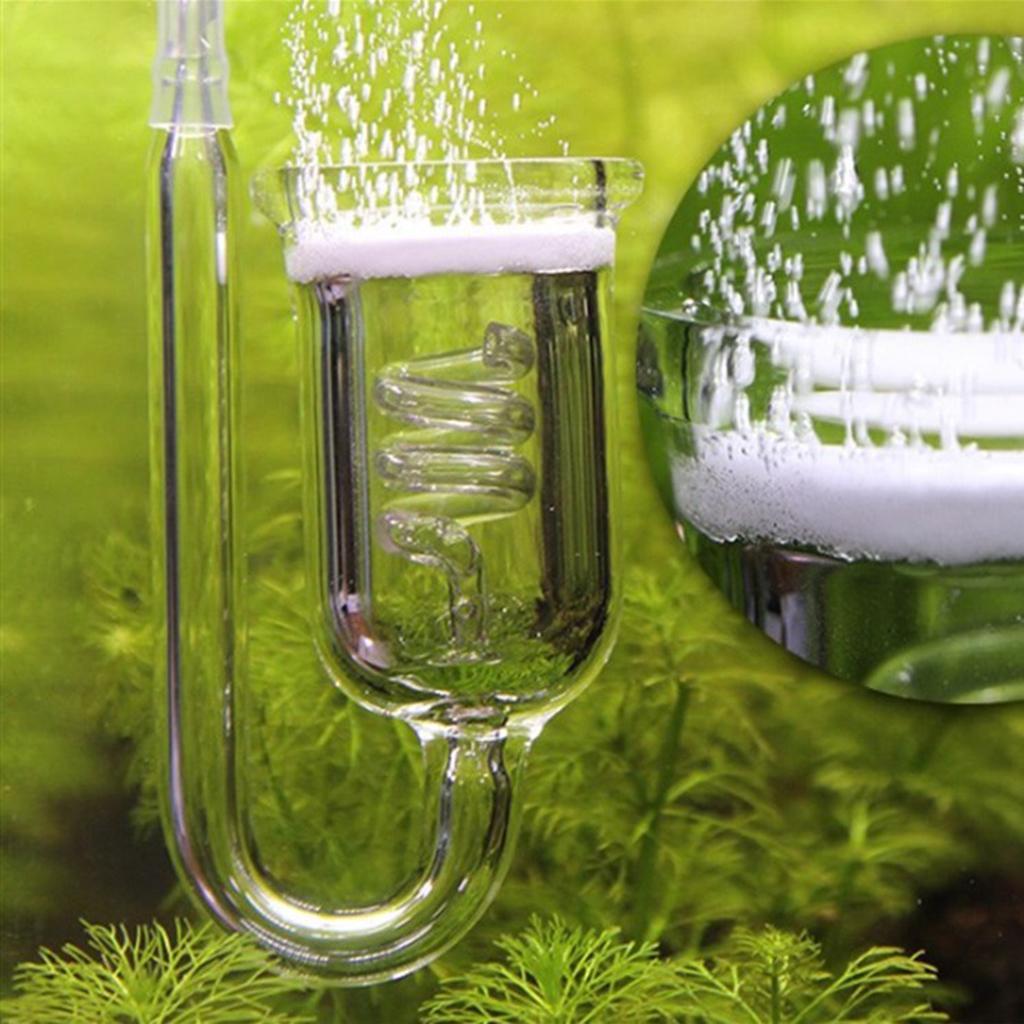 Durable Glass CO2 Diffuser Aqu - đánh giá và giá Aquarium Planted Tank Setup