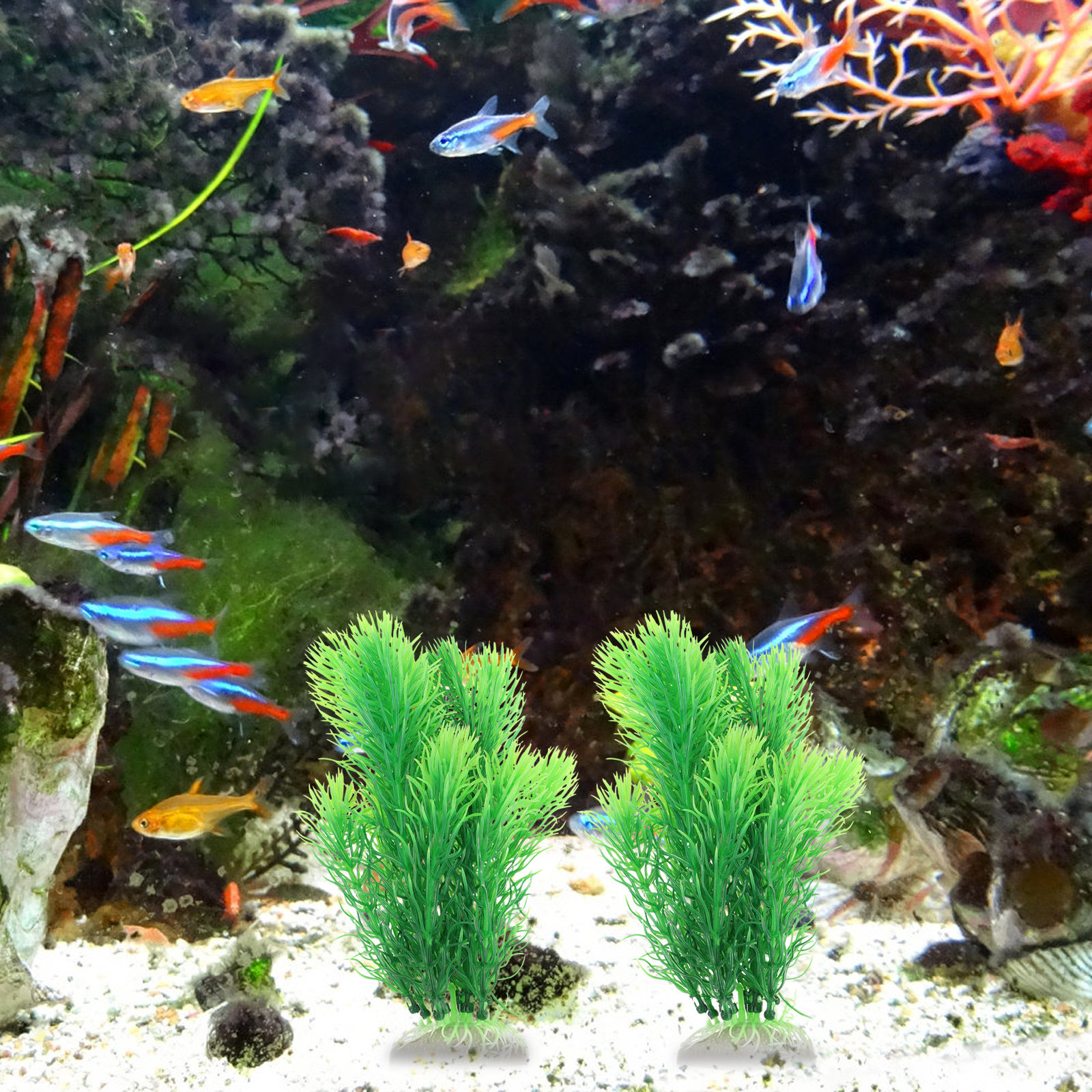2Pcs Lifelike Fake Water Grass - đánh giá và giá Non Planted Aquarium Fish