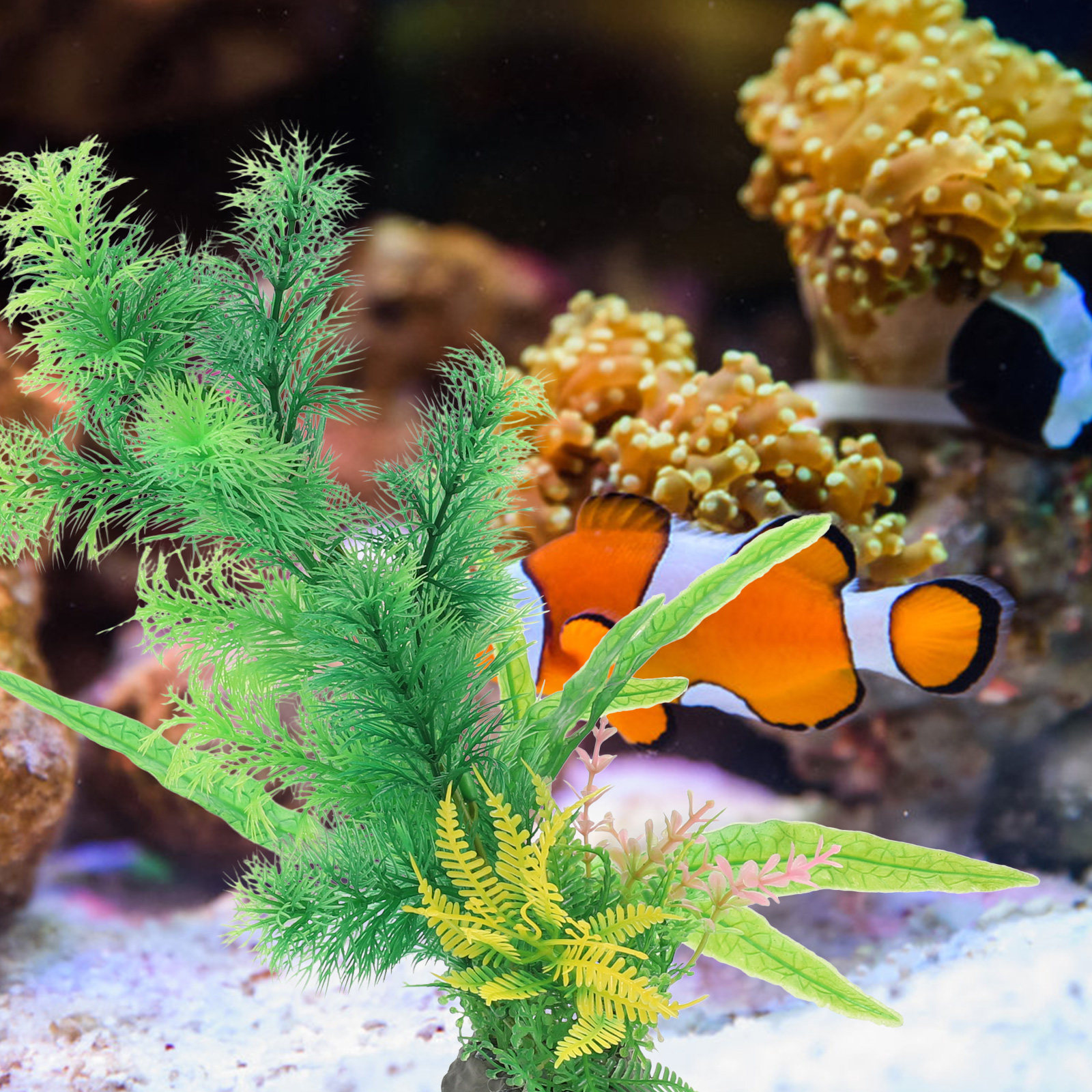 2Pcs Vivid Aquarium Plants for - đánh giá và giá Non Planted Aquarium Fish