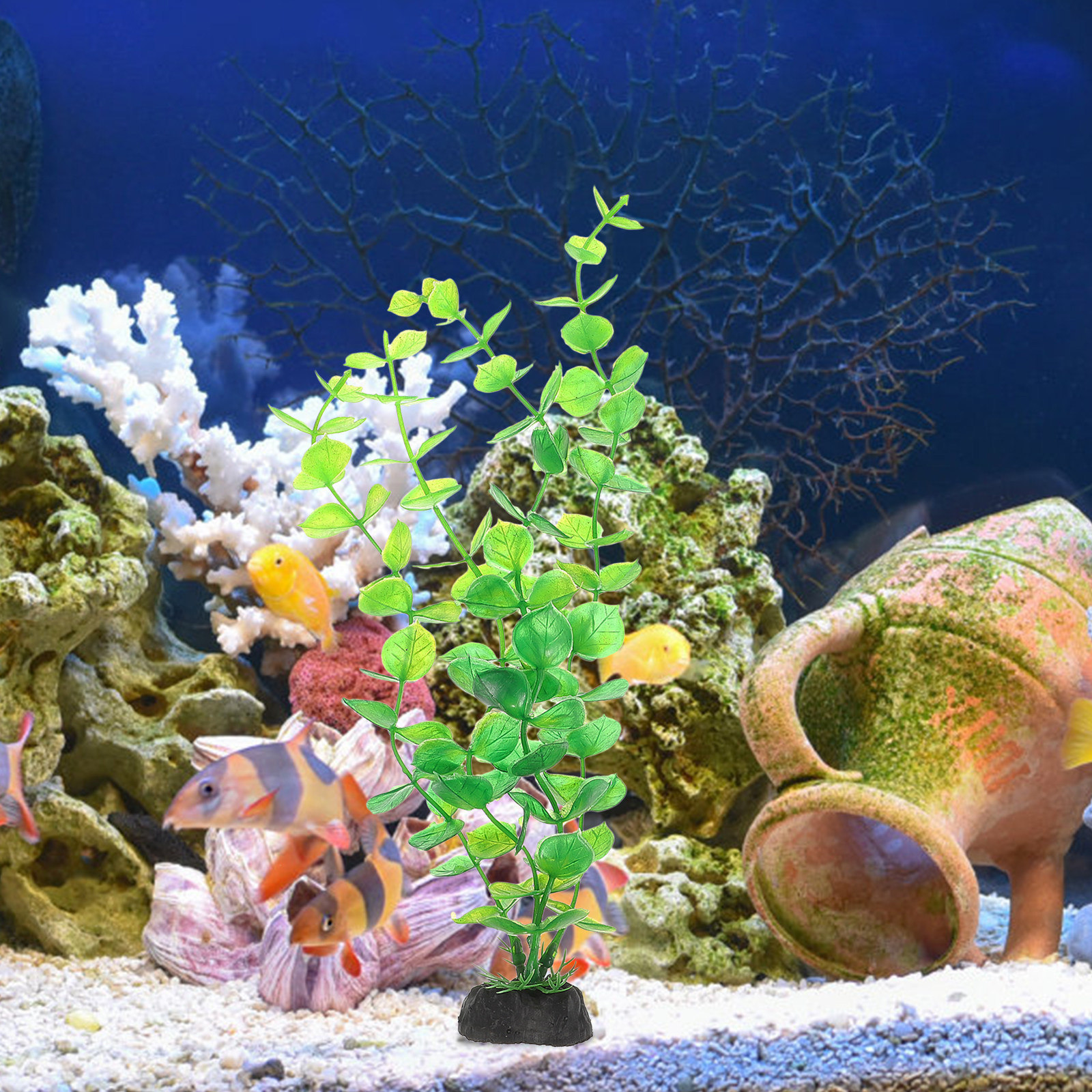 10Pcs Artificial Aquarium Plan - đánh giá và giá Non Planted Aquarium Fish