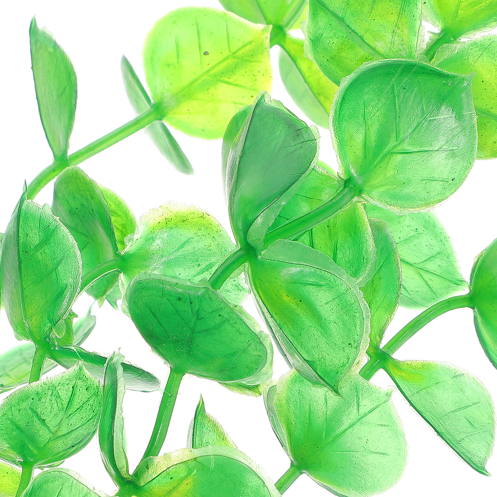 10Pcs Artificial Aquarium Plan - đánh giá và giá Non Planted Aquarium Fish