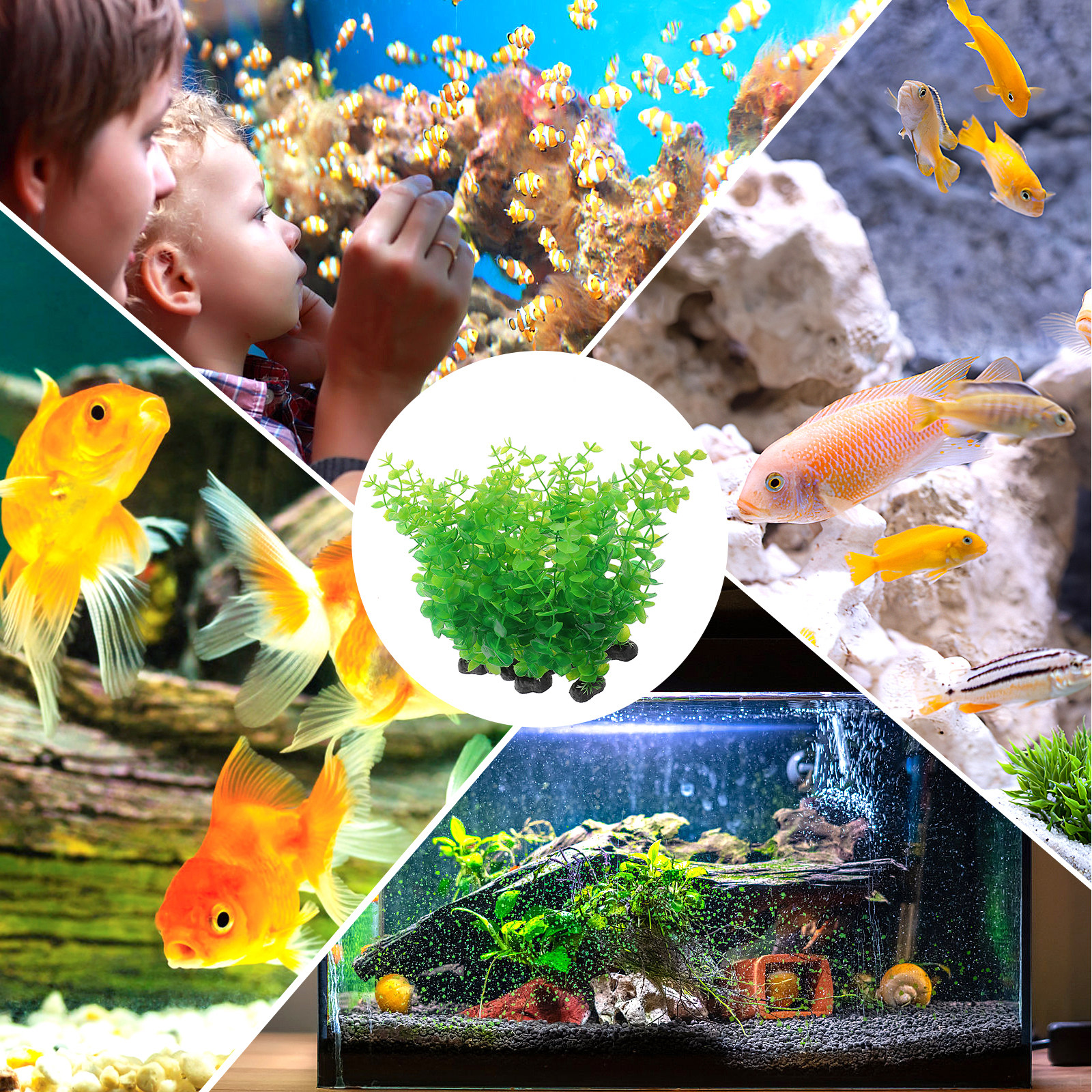 10Pcs Artificial Aquarium Plan - đánh giá và giá Non Planted Aquarium Fish