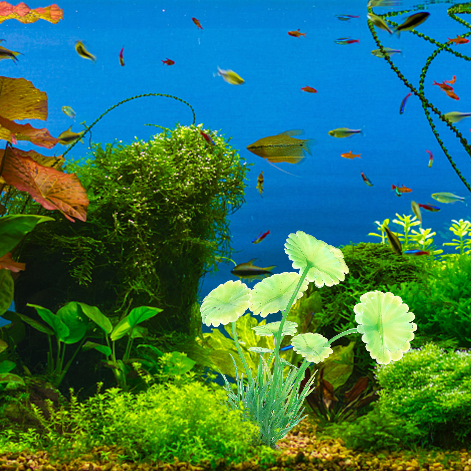 10Pcs Artificial Aquarium Gras - đánh giá và giá Aquarium Planted Tank Setup